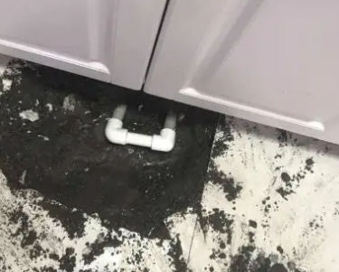 平阳查漏水哪家好