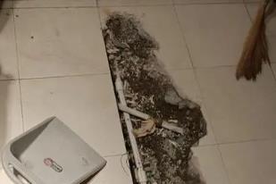 平阳卫生间漏水检测电话